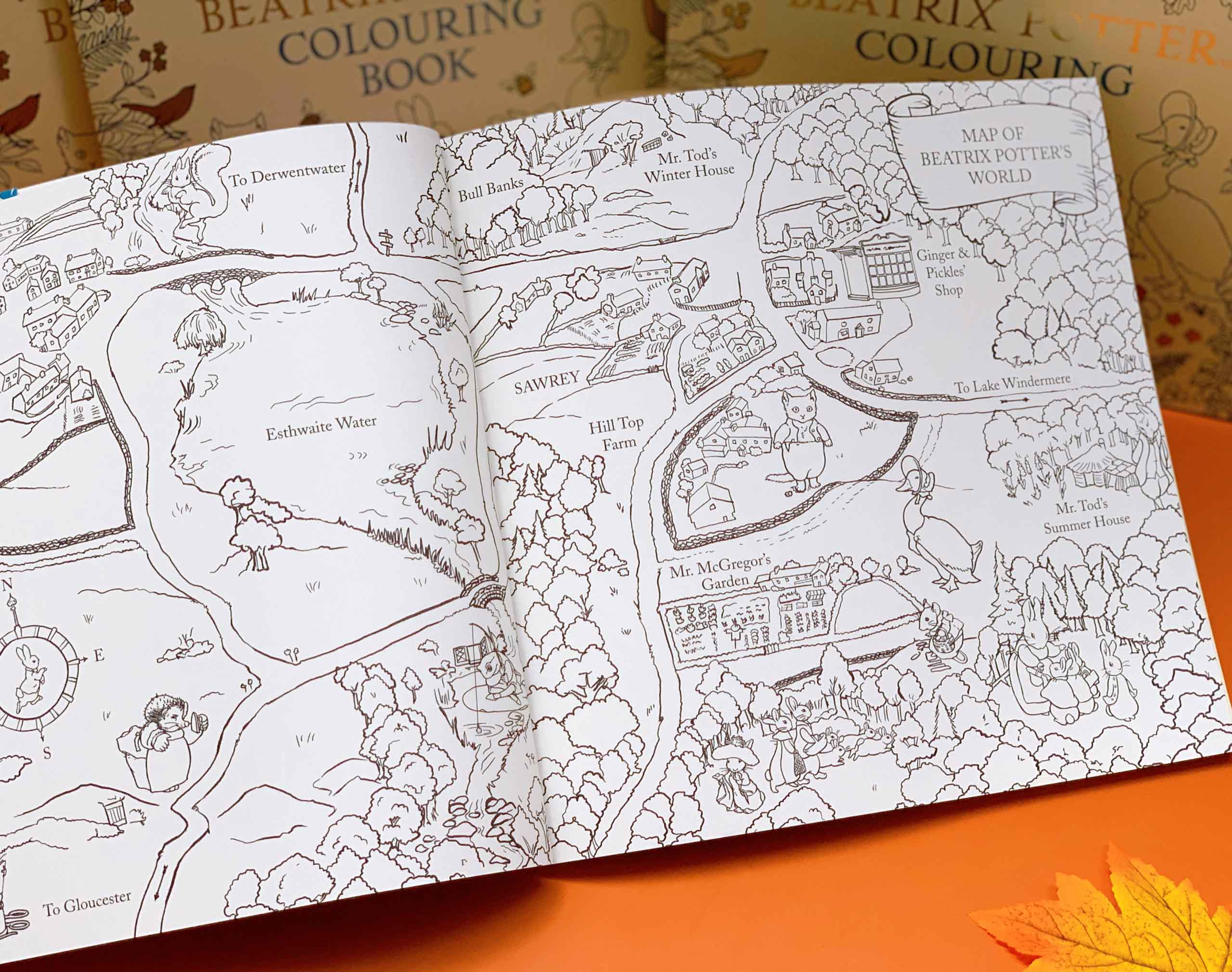 Sách tô màu Beatrix Potter sẽ đem đến cho bạn những giây phút thư giãn sau những giờ học và làm việc căng thẳng. Hãy xem hình bìa sách và các trang tô màu đẹp mắt để cảm nhận sự tinh tế và dễ thương của nhân vật Beatrix Potter.