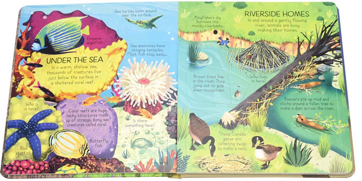Look Inside Animal Homes Look Inside Animal Homes