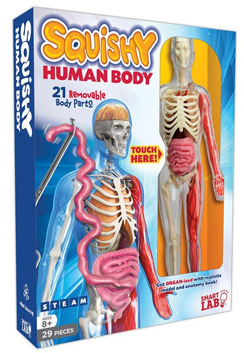 Trẻ học được gì qua mô hình giải phẫu cơ thể người 3D