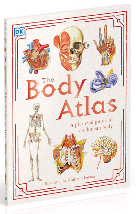 洋書 Body Atlas (Vietnamese book) 洋書 Body Atlas (Vietnamese book) 51PUWzXte8L._UF350